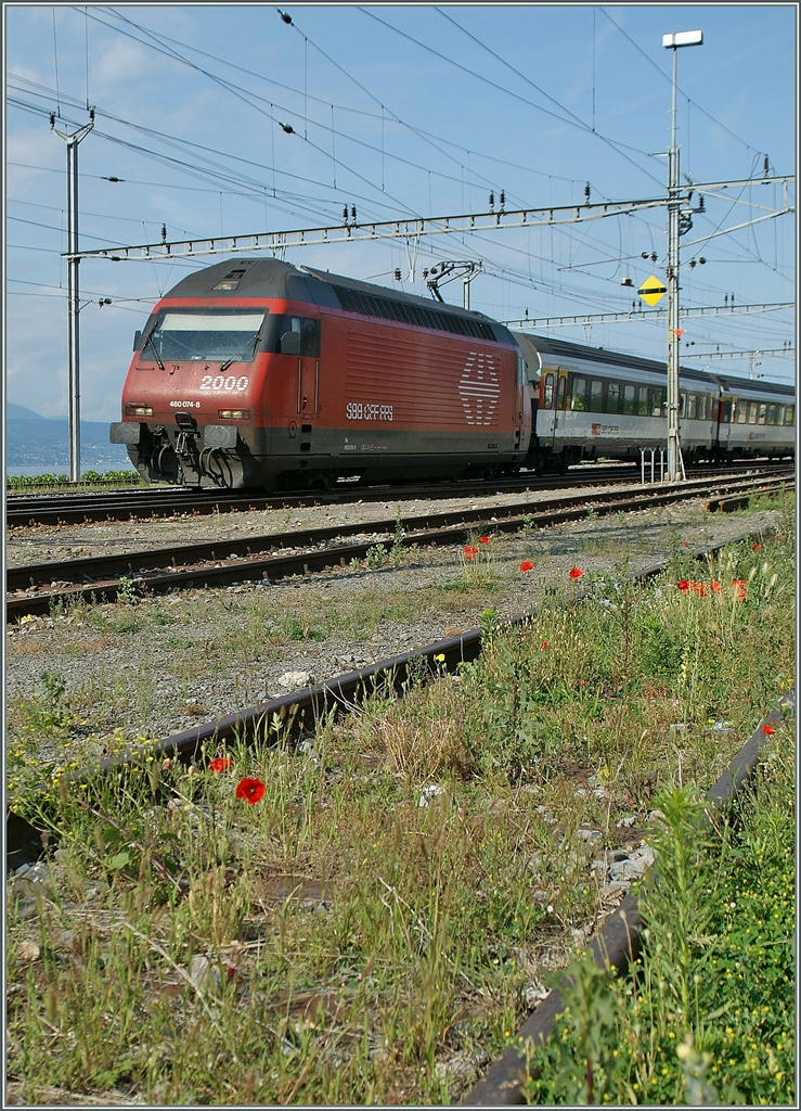 The SBB Re 460 074-8 with an IR in Cully. 
15.06.2011