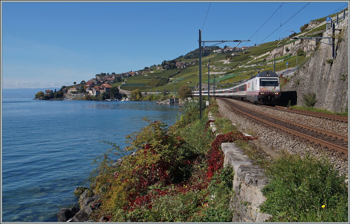 The SBB Re 460 083-9 with an IR to Brig between Rivaz andSt Saphorin.
