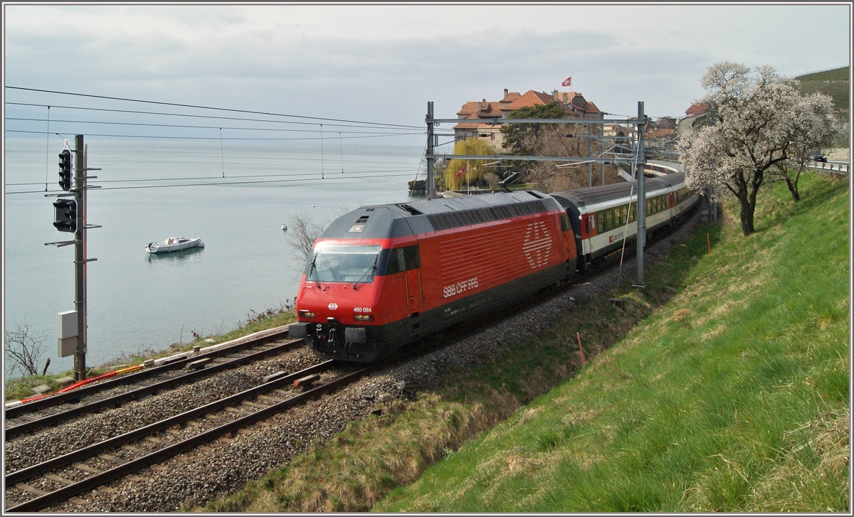 The SBB Re 460 084 near Rivaz.
22.03.2015