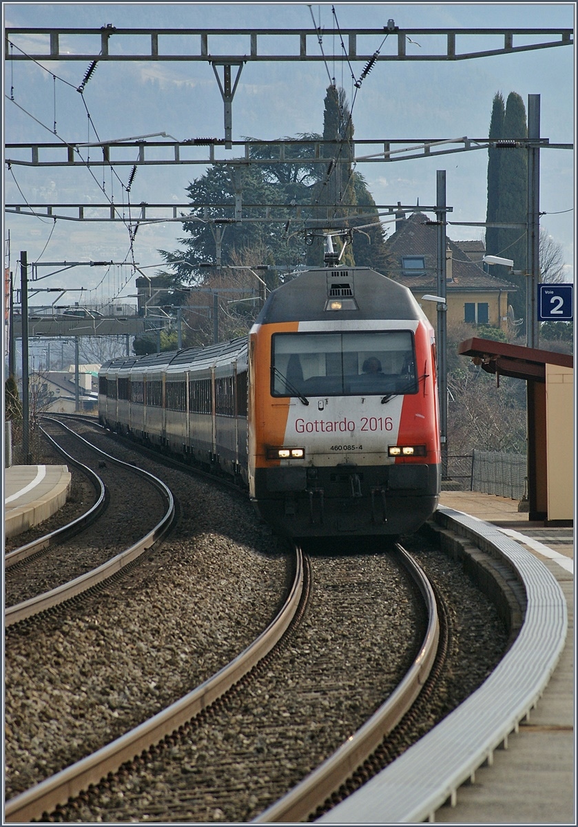 The SBB Re 460 085  Coop Gotthrad 2016  by St Saphorin.
04.03.2017