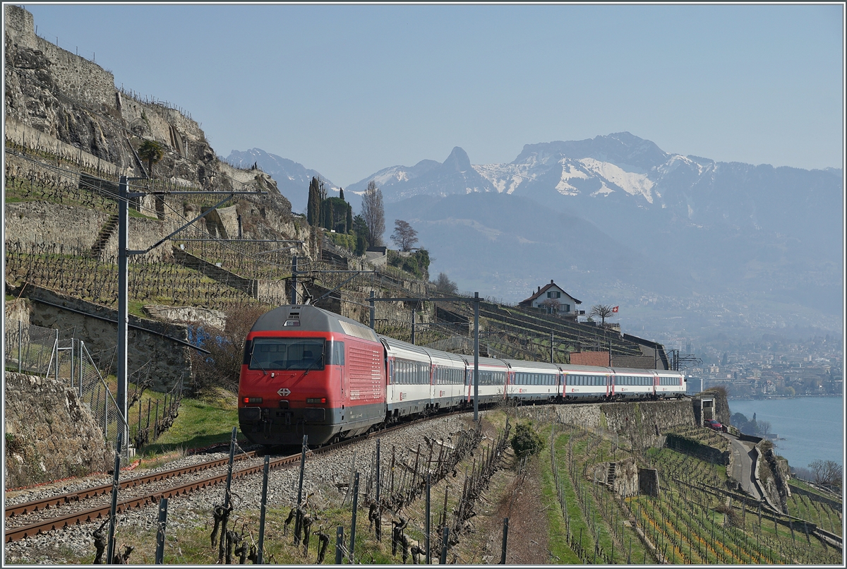 The SBB Re 460 103-5  Heitersberg  with his IR 30827 on the way from Geneva-Airport to St Maurice on the vineyarde line between Chexbres and Vevey (works on the line via Cully). 

20.03.2022