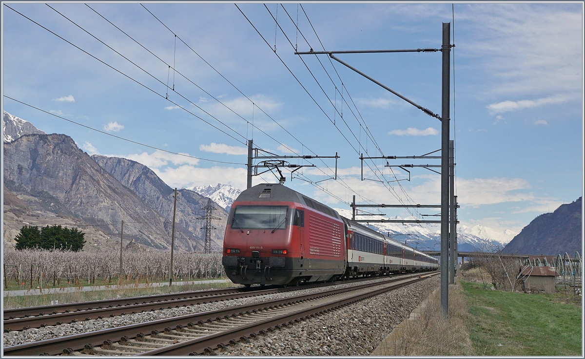 The SBB Re 460 111-0 with an IR to Brig between Saxon and Charrat Fully.
04.04.2018