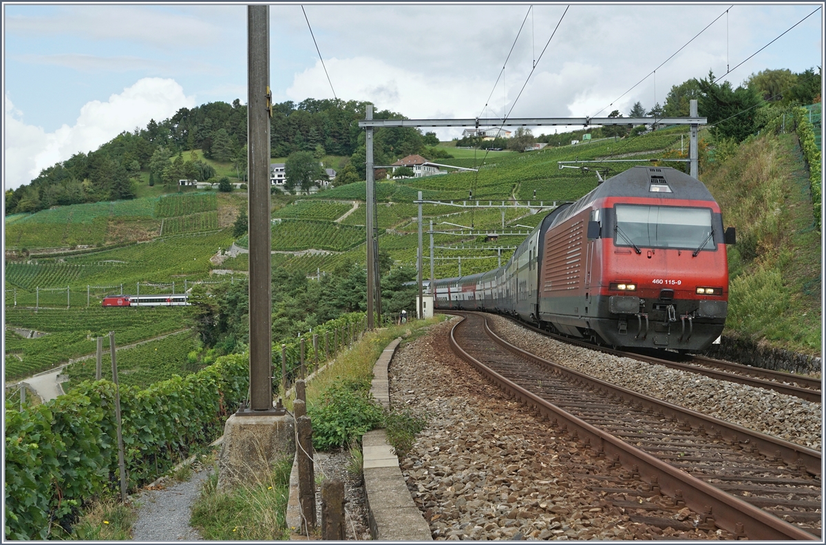 The SBB Re 460 115-9 (and an oter one on the end of this train) with an IC to St Gallen by Grandvaux.

06.09.2017