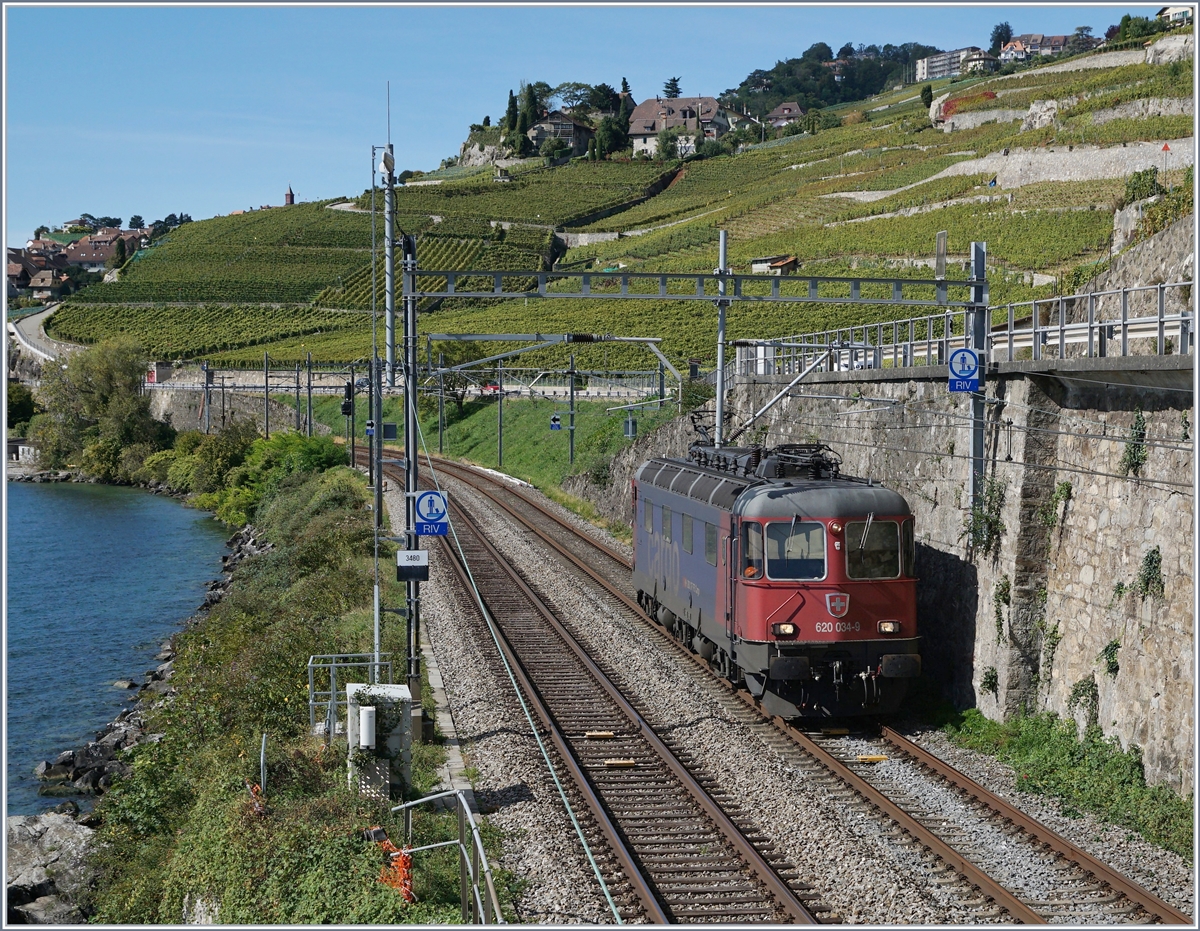 The SBB Re 620 034-9 between Rivaz and St Saphorin. 

30.09.2019