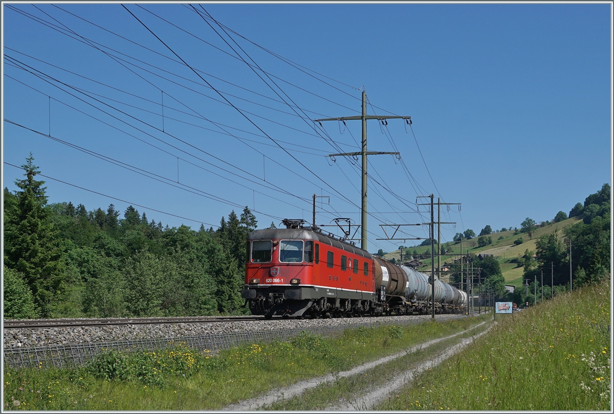 The SBB Re 6/6 11666 (Re 620  066-1)  Stein am Rhein  with a Cargo train by Mülenen. 

14.06.2021