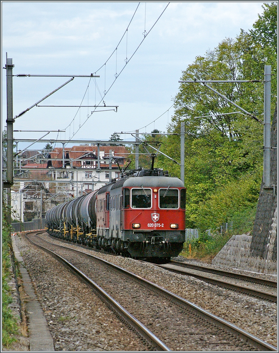 The SBB Re 6/6 11675 (Re 620 075-2) and an other one (!) with a Cargo train to St-Triphon by Burier. 

07.09.2022