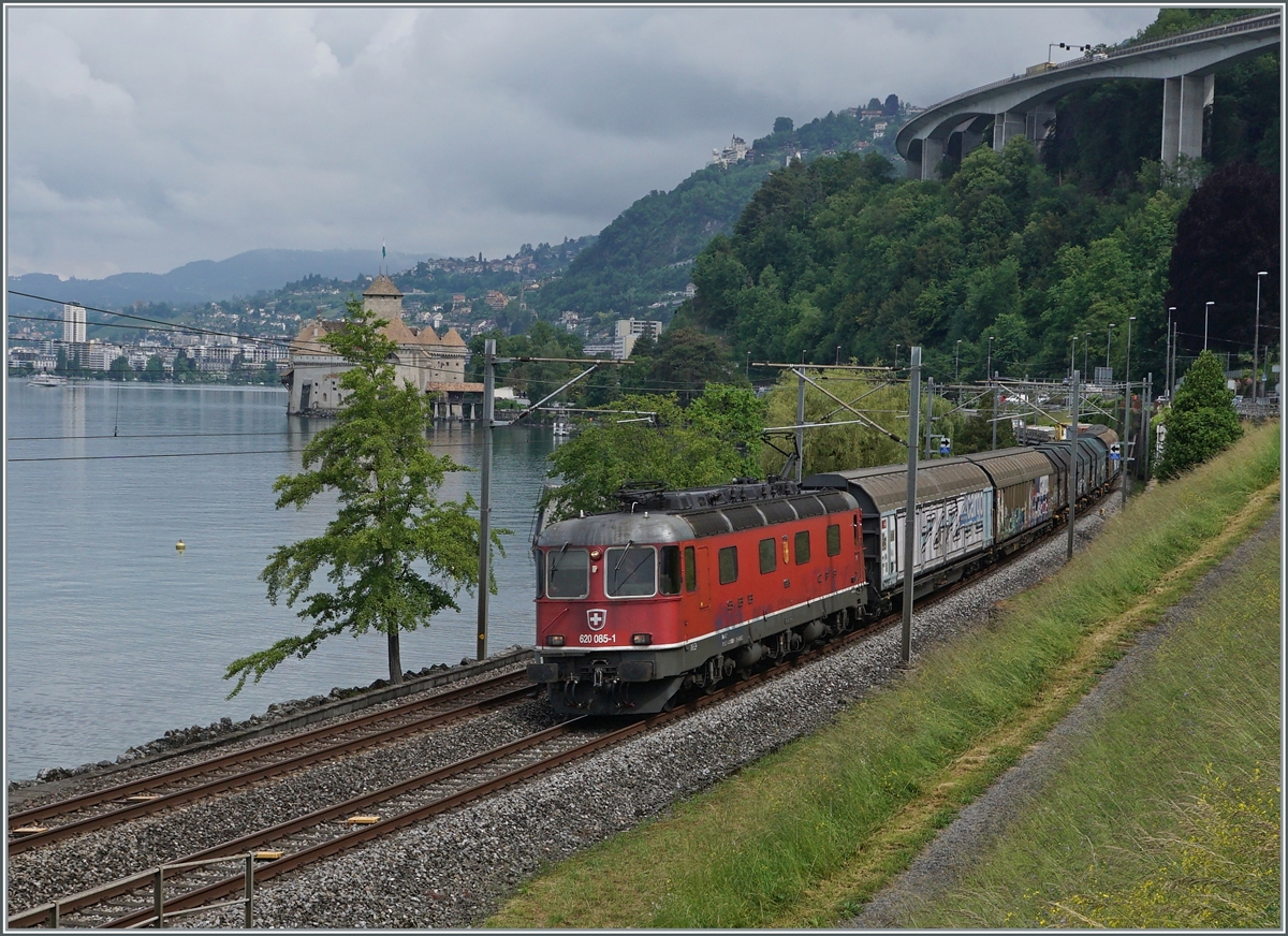 The SBB Re 6/6 11685 (Re 620 085-1)  Sulgen  with a Cargo train near the Castle of Chillon. 

08.06.2021