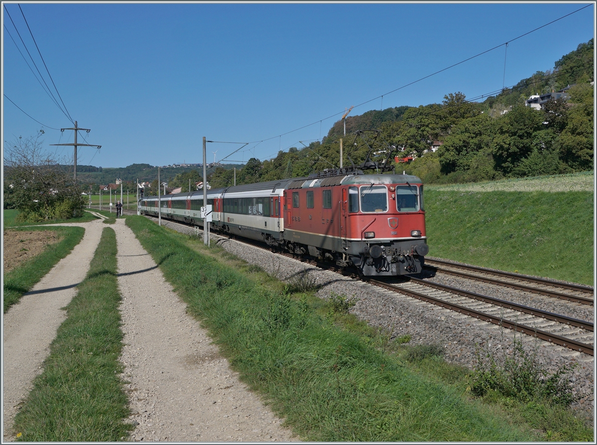 The SBB Re4/4 II 11152 with his IC 4 from Zürich to Singen by Bietingen. 

19.09.2022