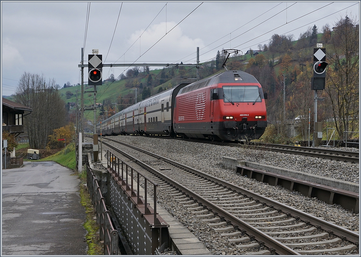 The SBB Re460 019-3 with an IC to Brig by Muelenen.
09.11.2017