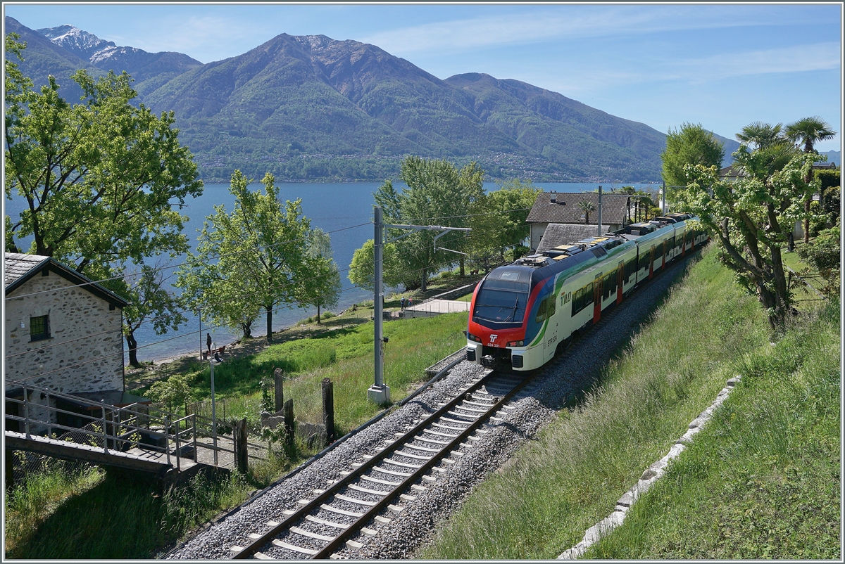 The SBB TILO RABe 524 301 and an other one between Tenero and Minusio on the way from Milano to Locarno (RE 80). 

26.04.2023