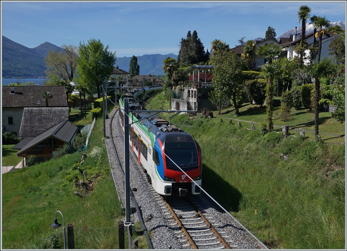 The SBB TILO RABe 524 307 and 303 between Minusio and Tenero on the way to Milano (RE 80). 

26.04.2023