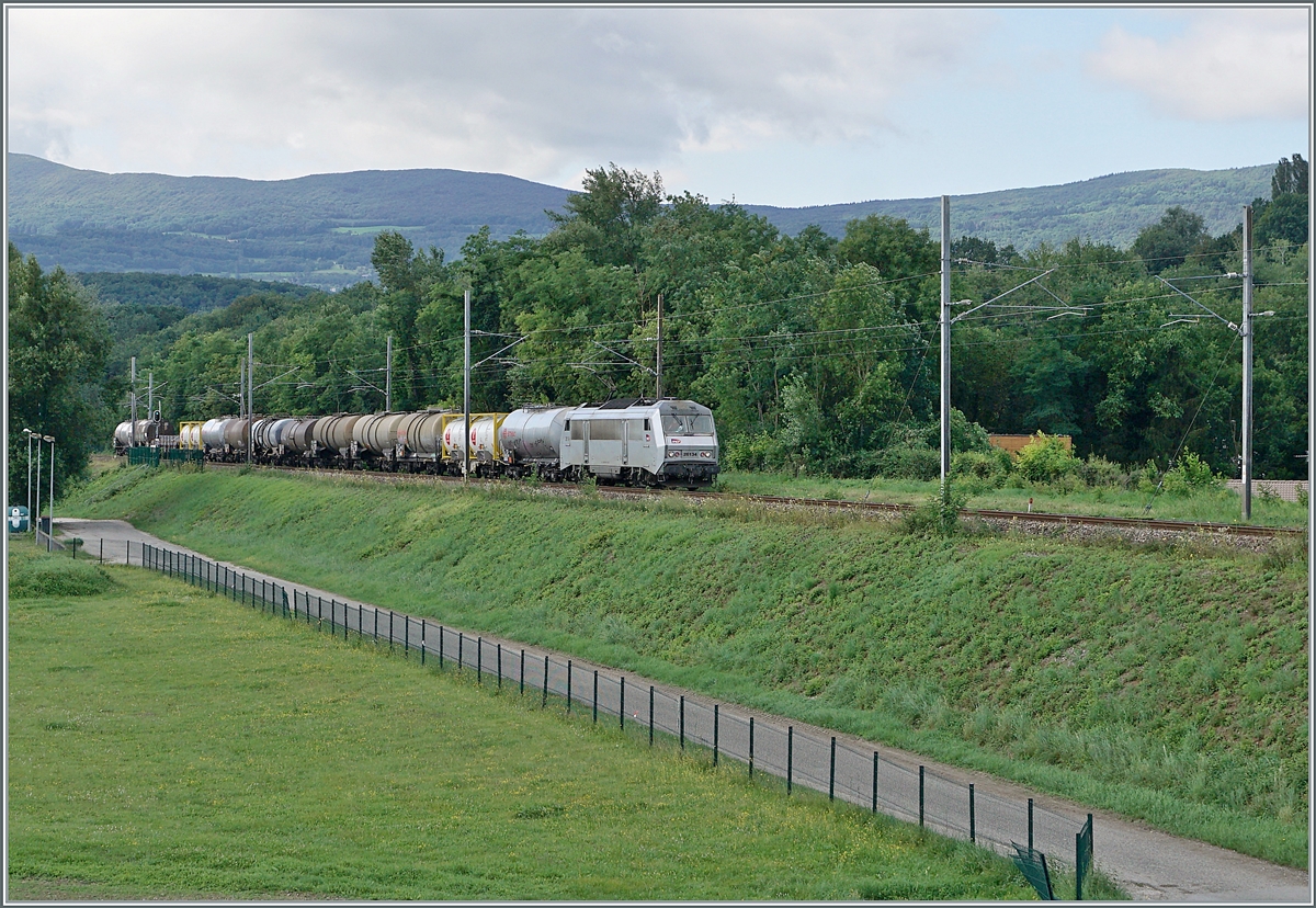 The SNCF Sybic BB 26134 near Pougny-Chancy with a cargo train on the way to Genève La Praille. 

16.08.2021