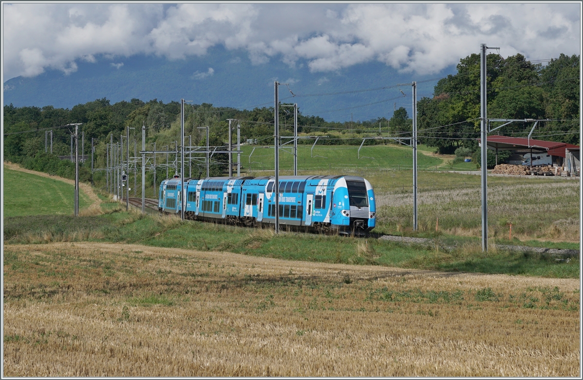 The SNCF Z 24317 on the way from Genevea to Valence between Satigna and Russin.

02.08.2021