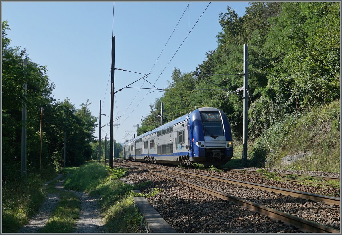 The SNCF Z 24399 on the way from Valence to Geneva between Pougny Chancy and La Plaine. 

06.09.2021