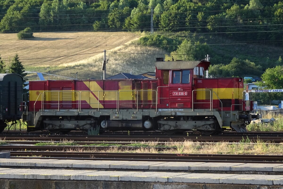 The Sun sets and ZSCS 731 036 oozes a bit at Margecany on 23 June 2022.