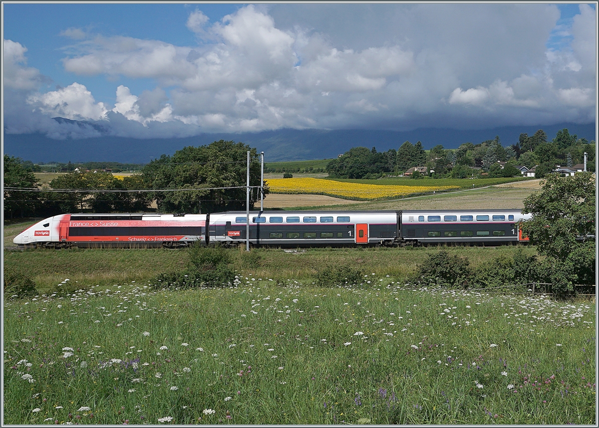 The TGV Lyria 9768 from Lausanne to Paris Gare de Lyon near Satigny.

02.08.2021