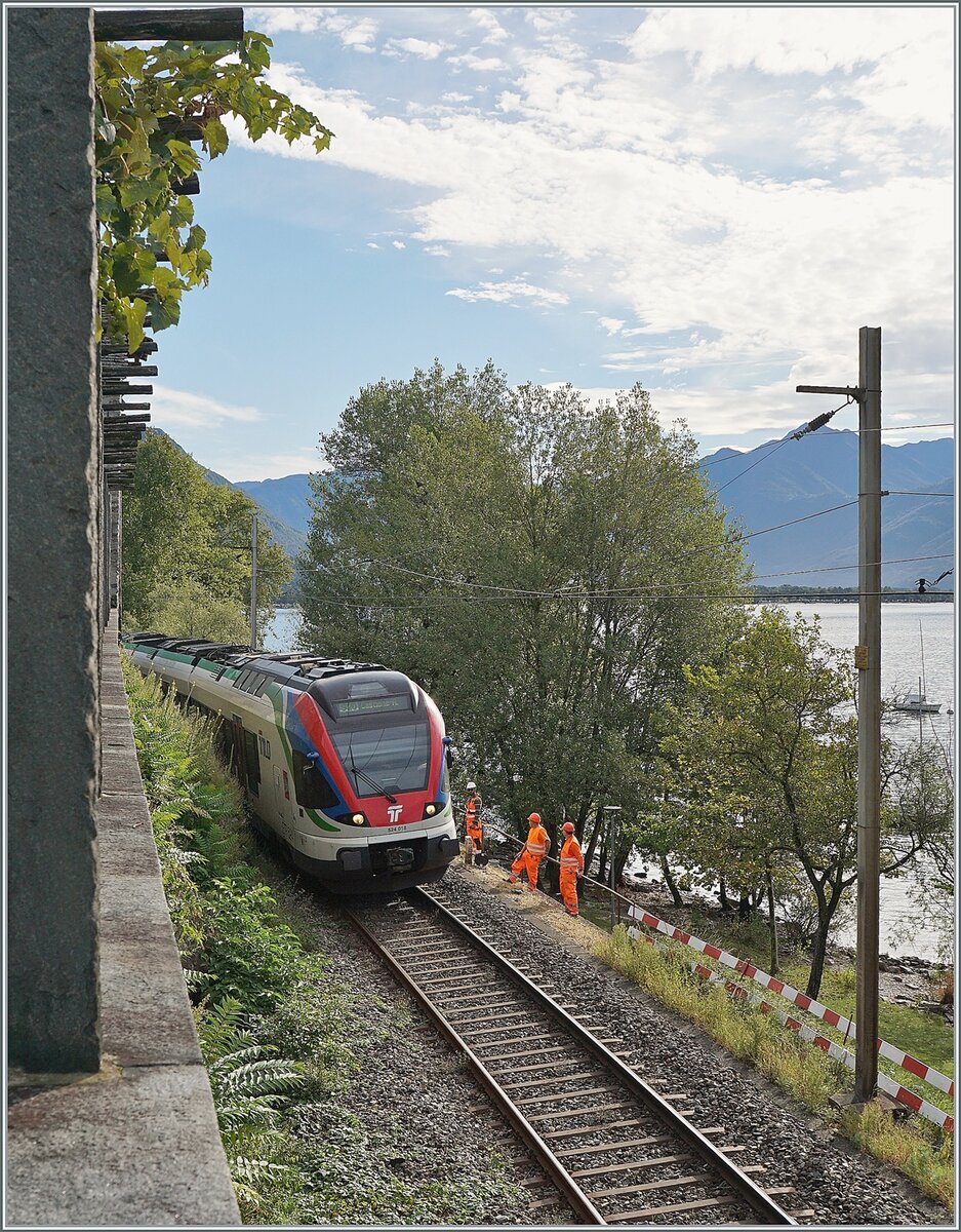 The TILO RAe 524 018 and 012 on the way to Locarno by San Quirico. 

20.09.2021