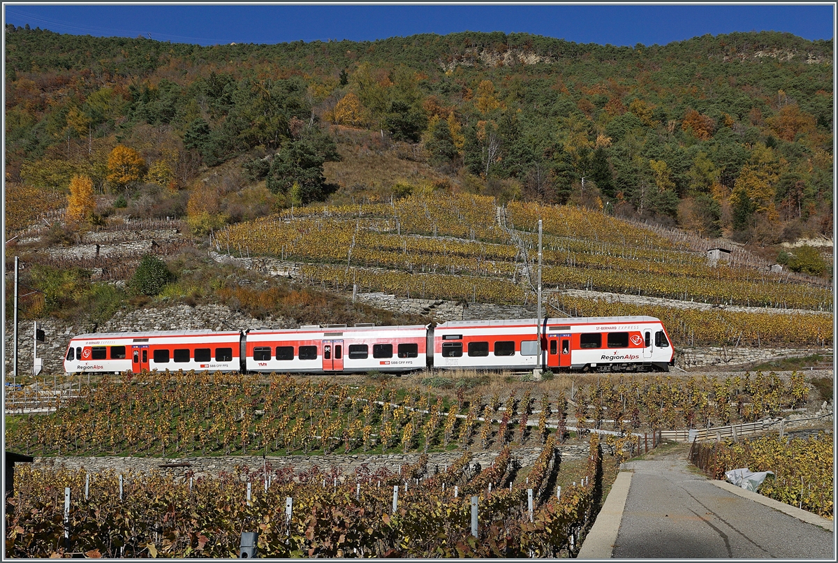 The TMR Region Alps RABe 525 038  NINA  on the way from Le Chabel to Martingy in the vineyards by Bovernier.

06.11.2020