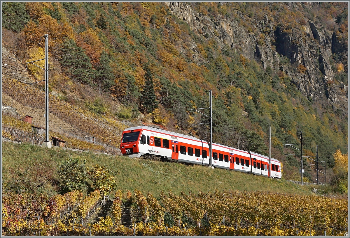 The TMR Region Alps RABe 525 038  NINA  on the way from Le Chabel to Martingy in the vineyards by Bovernier. 

06.11.2020