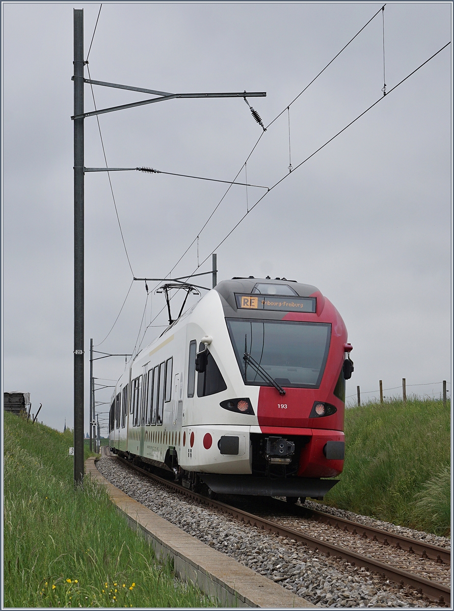 The TPF RABe 527 193 by Vaulruz on the way to Fribourg.

12.05.2020