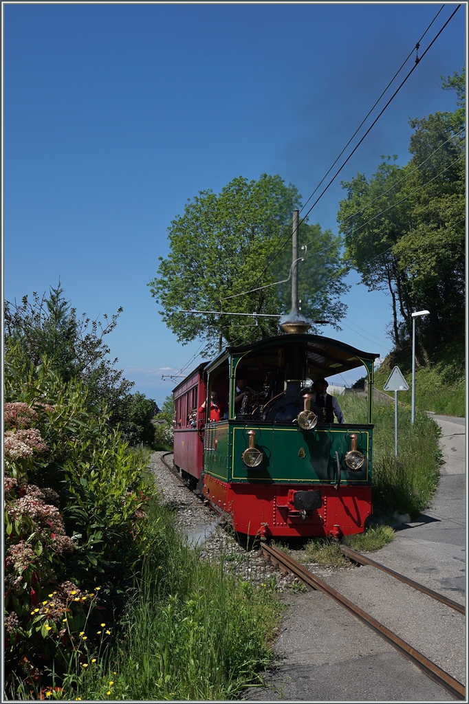 The tramway steamer near Blonay,
16.05.2016