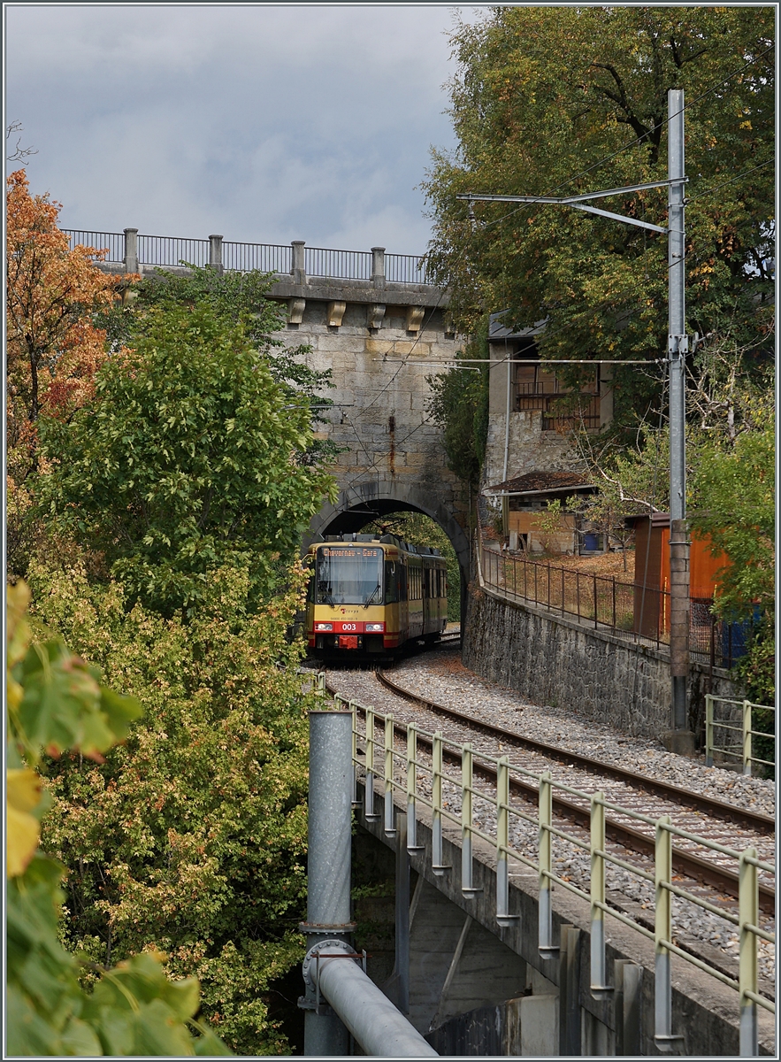 The TRAVYS/OC Be 4/8 003 on the way to Chavornay by Orbe

15.08.2022