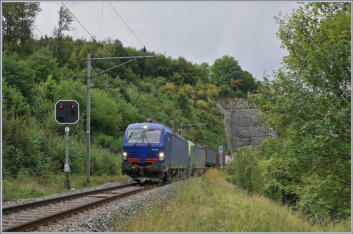 The  Vectron  193 490 and an other one between Läufelfingen and Buckten (Alte Hauenstein Line)
07.08.2018