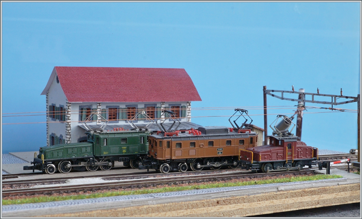 The Z-Spur Be 6/8, Ae 3/6 and Ee 3/3 on my Diorama  Büren an der Aare . 

26.07.2021