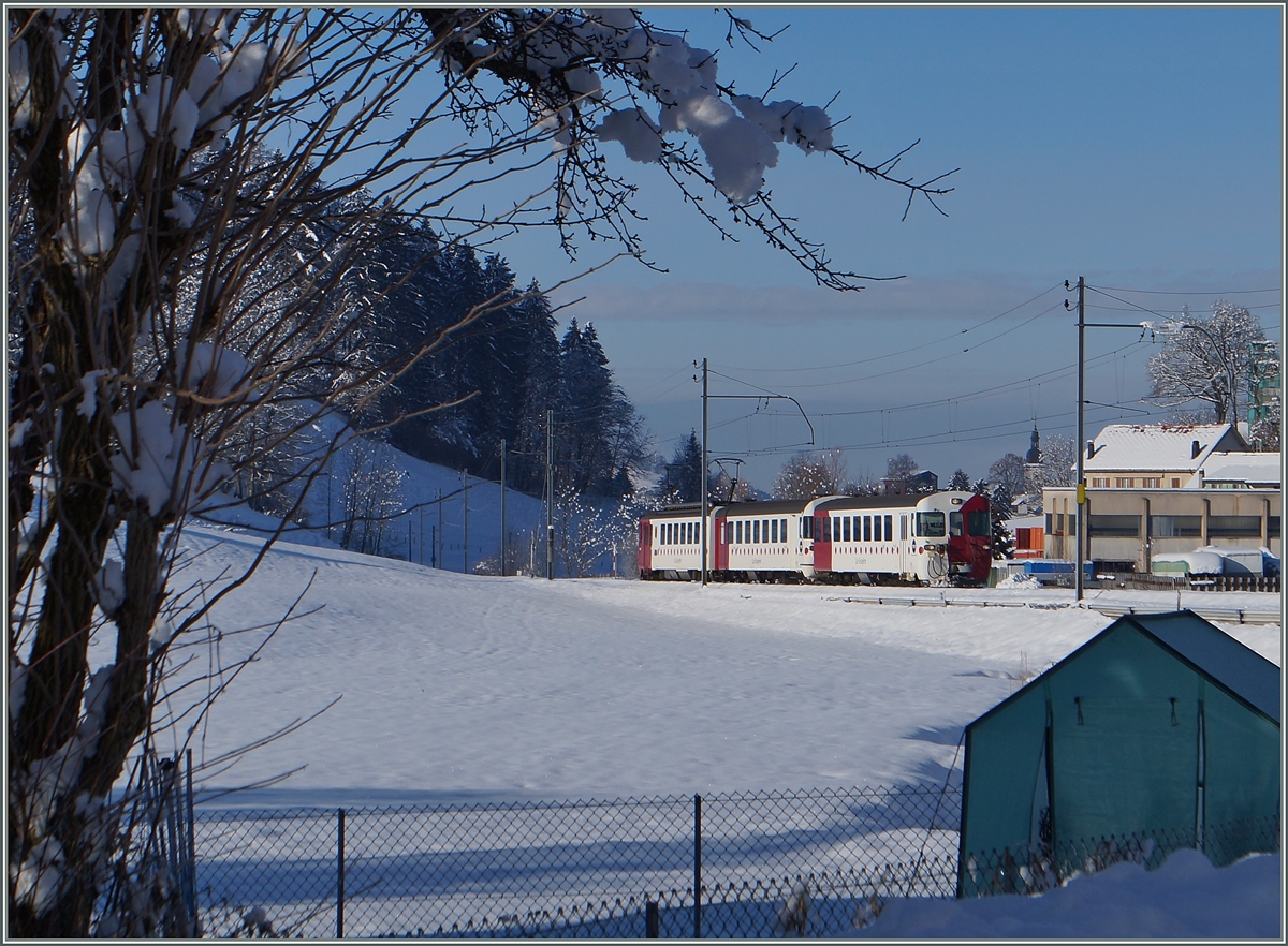 TPF local train near Châtel St-Denis. 
21.01.2015