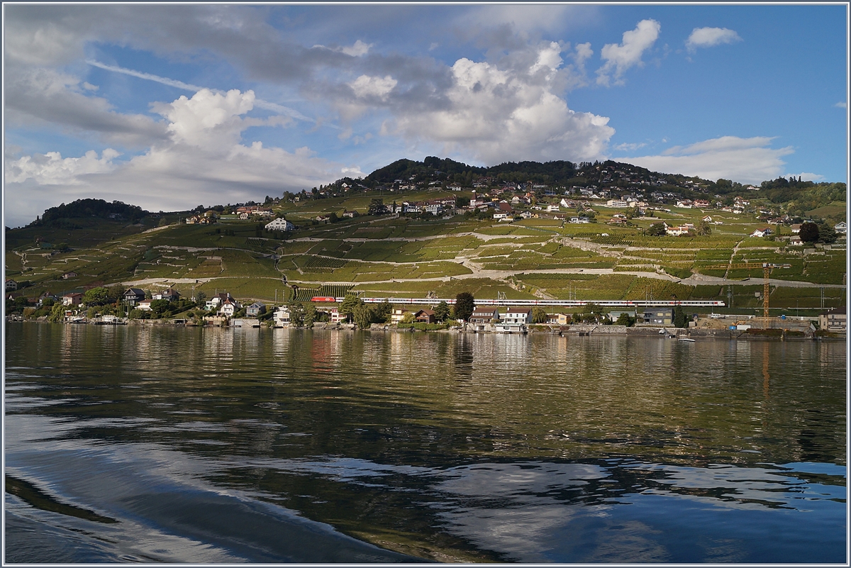 Trough the Lavaux runs a SBB Re 460 wiht his IR90 on the way to Brig by Cully.

01.10.2019