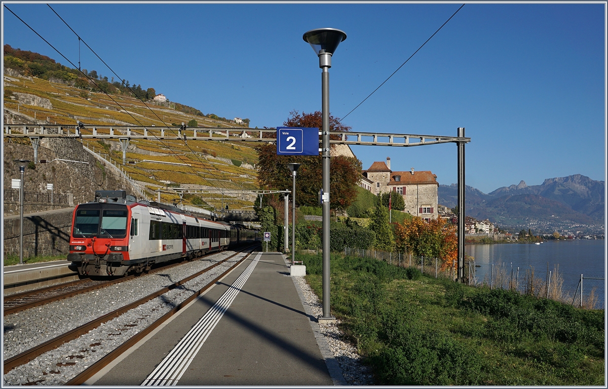 Two Domino on the way to St Maurice by Rivaz.
16.10.2017