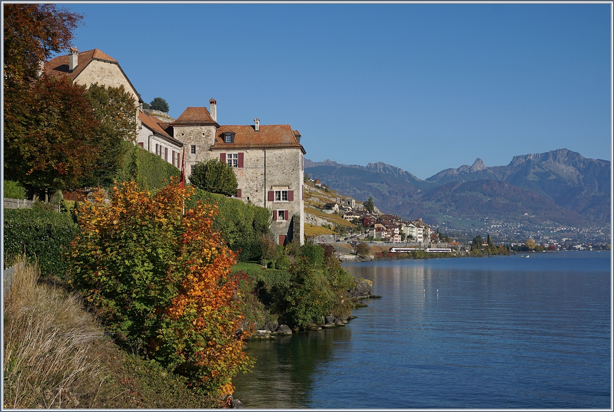 Two Flirts in the Lavaux by St Saphorin.
16.10.2017