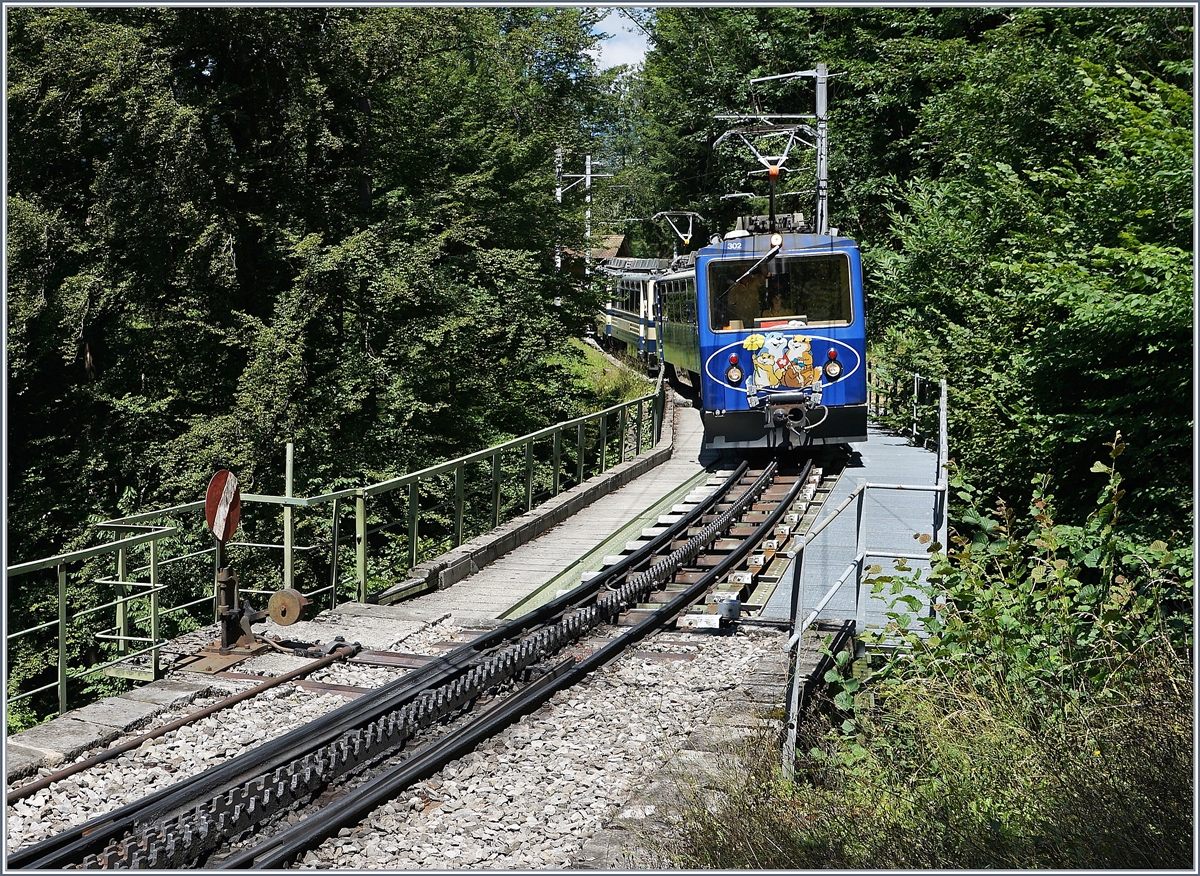 Two Rocheres de Naye Bhe 4/8 near Le Tremblex.
07.08.2016