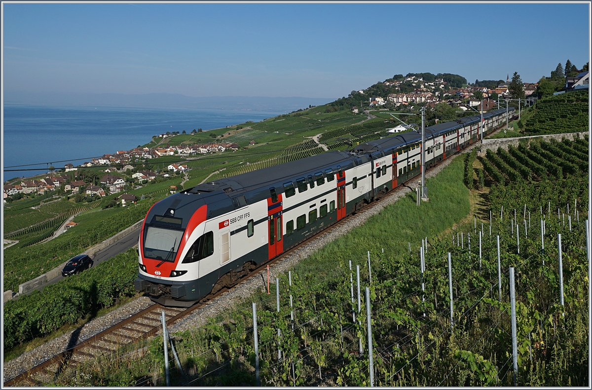 Two SBB RABe 511 on the way to Fribourg by Chexbres.
27.07.2018