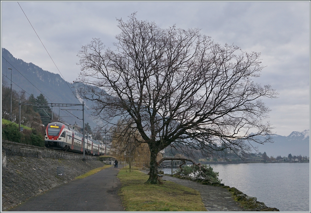 Two SBB RABe 511 on the way form St-Maurice to Gneève and Annemasse near Villeneuve. 

19.12.2020