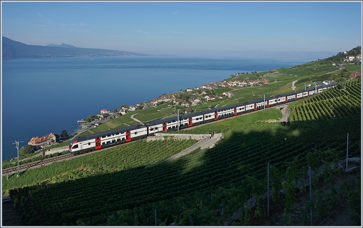 Two SBB RABe 511 over Rivaz near Chexbres.

27.07.2018