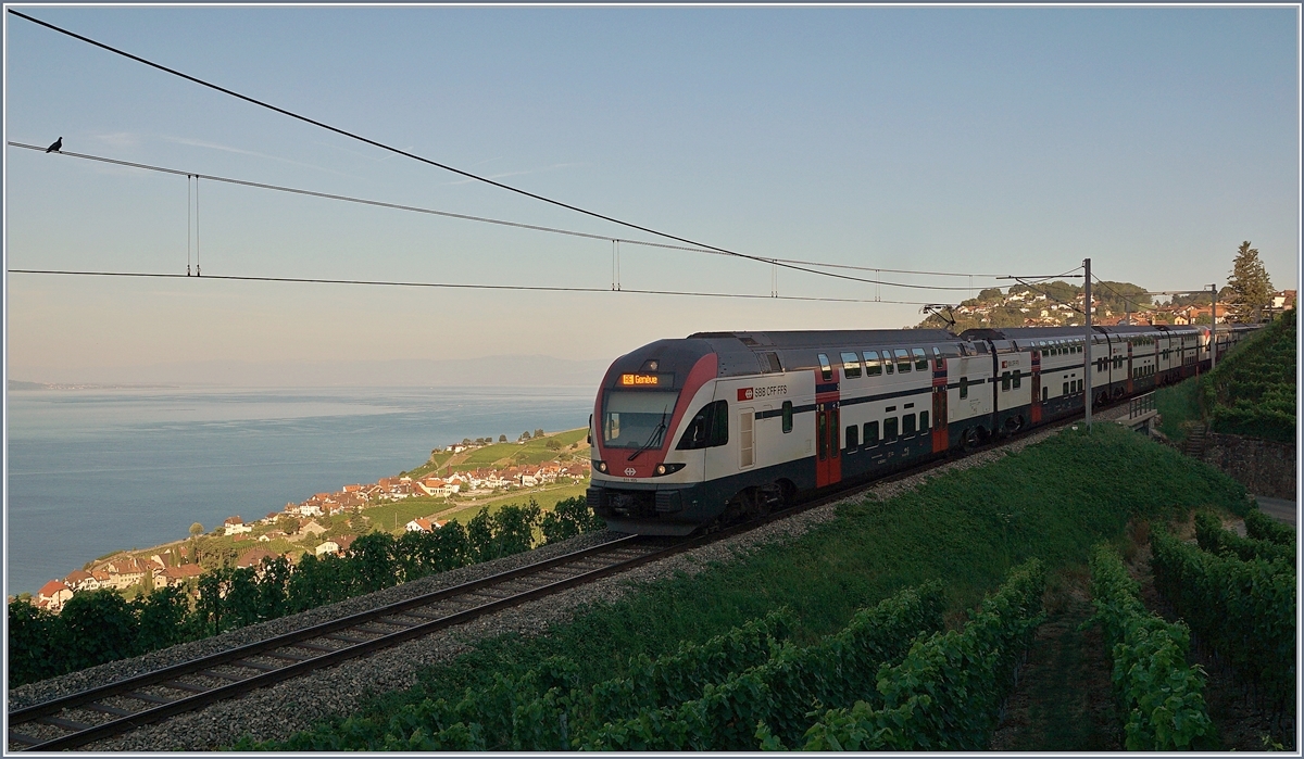 Two SBB RABe 511s are on the  Train des Vignes  route, which is still in the shade, on the way from Fribourg to Genève via Vevey, as the direct route is closed due to construction work.

27.07.2018