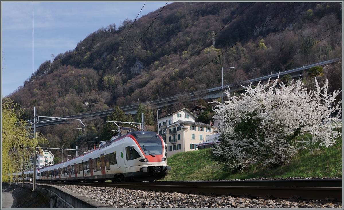 Two SBB RABe 523  Flirt  near Villeneuve on the way to Aigle. 

21.03.2023