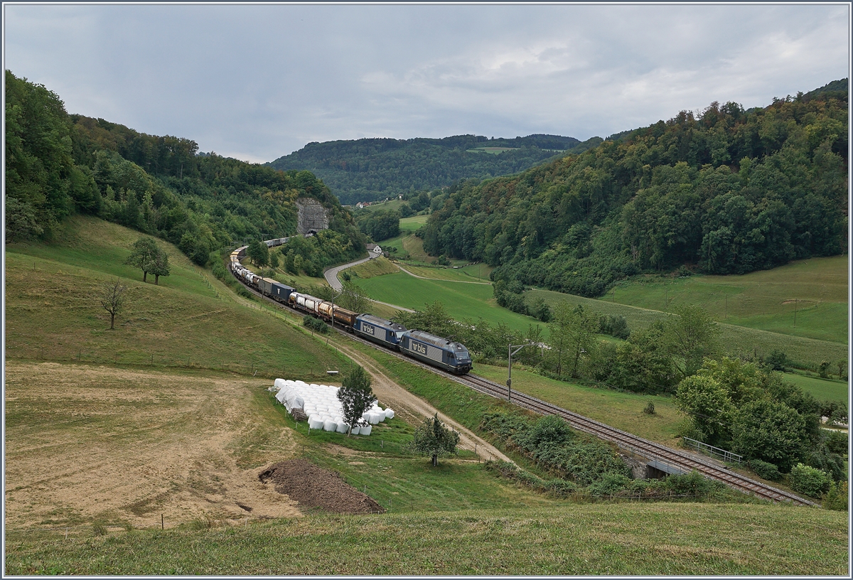 Two SBL Re 465 with a Cargo Train on the Alte Hauenstein Line between Läufelfingen and Buckten. 
07.08.2018