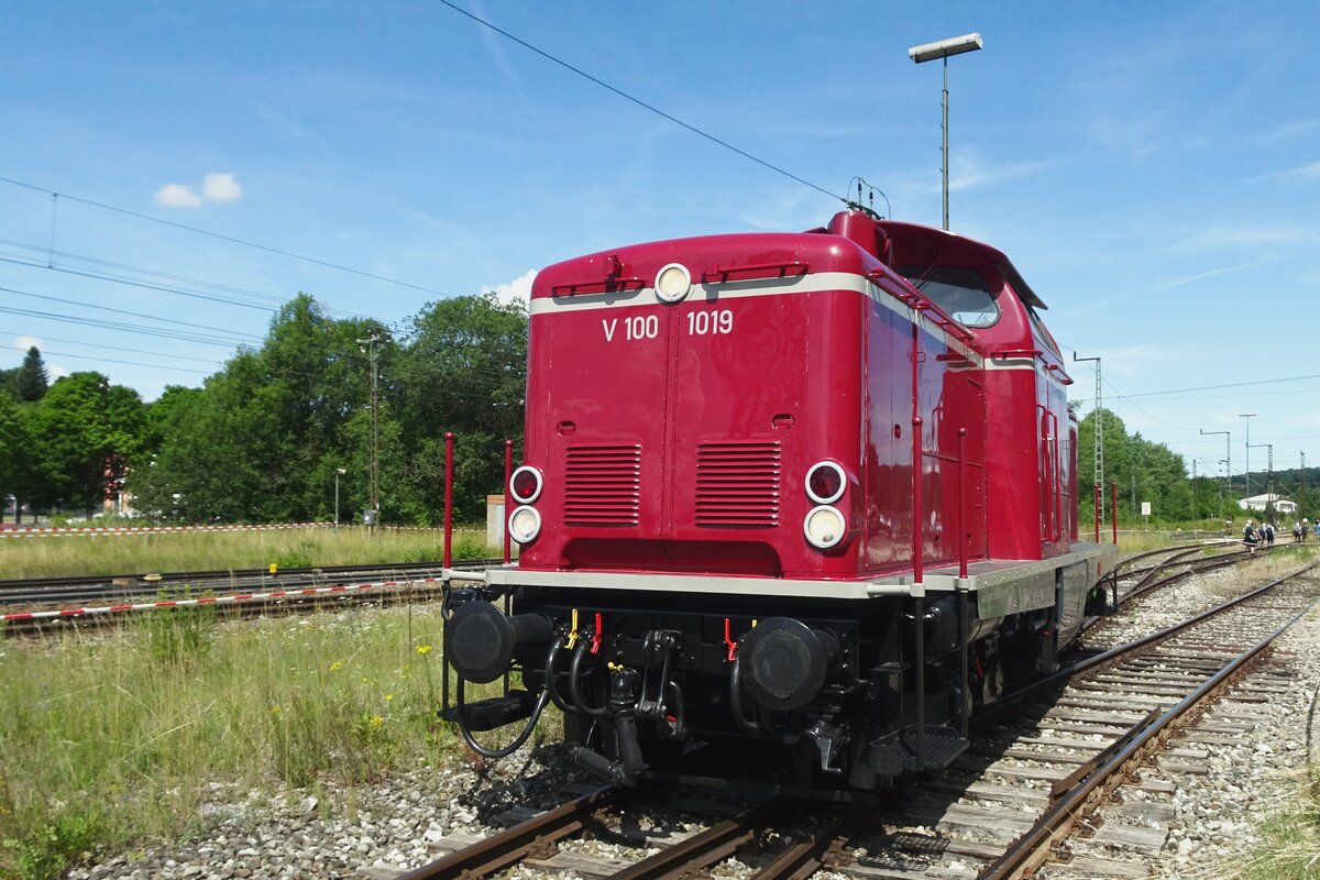 V 100 1019 of the UEF stands in Amstetten (W) on 9 July 2022.