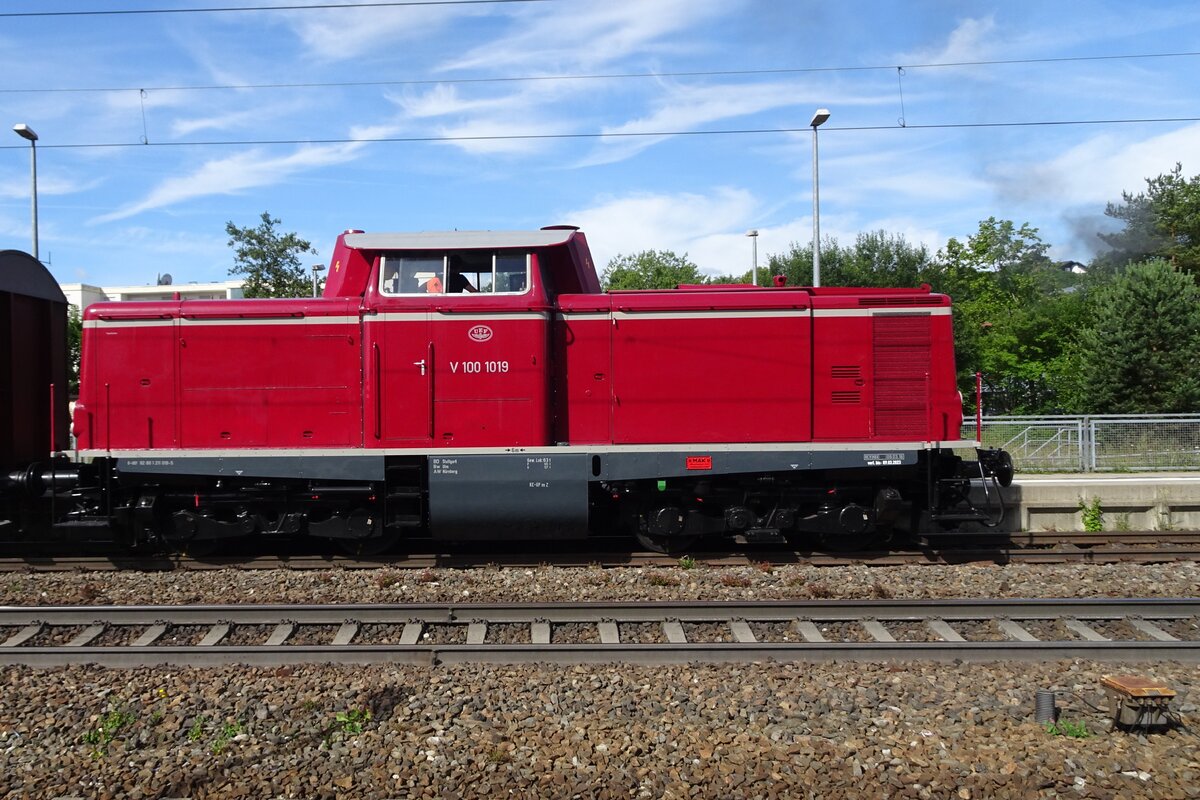 V 100 1019 of the UEF stands in Amstetten (W) on 9 July 2022.