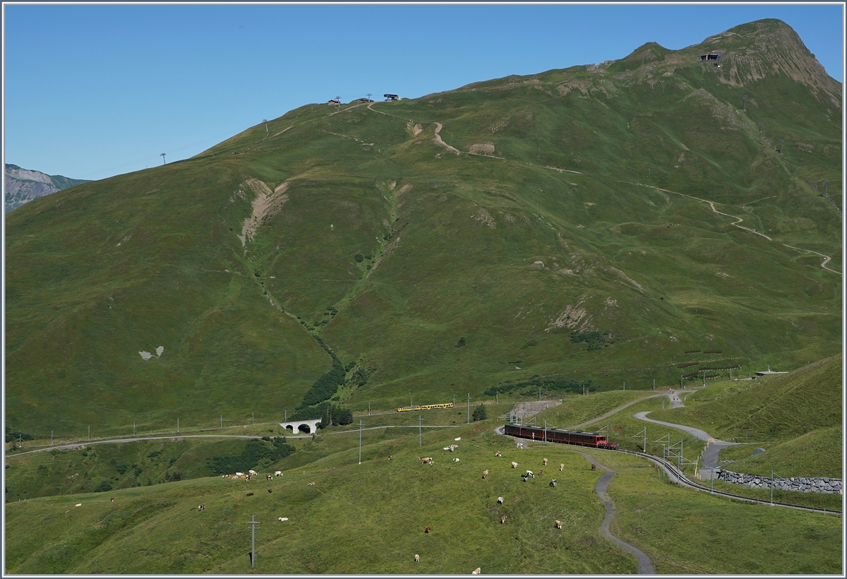 View on the Kleine Scheidegg with WAB und JB trains.

08.08.2016