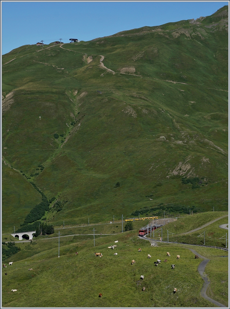 View on the Kleine Scheidegg with WAB und JB trains.

08.08.2016