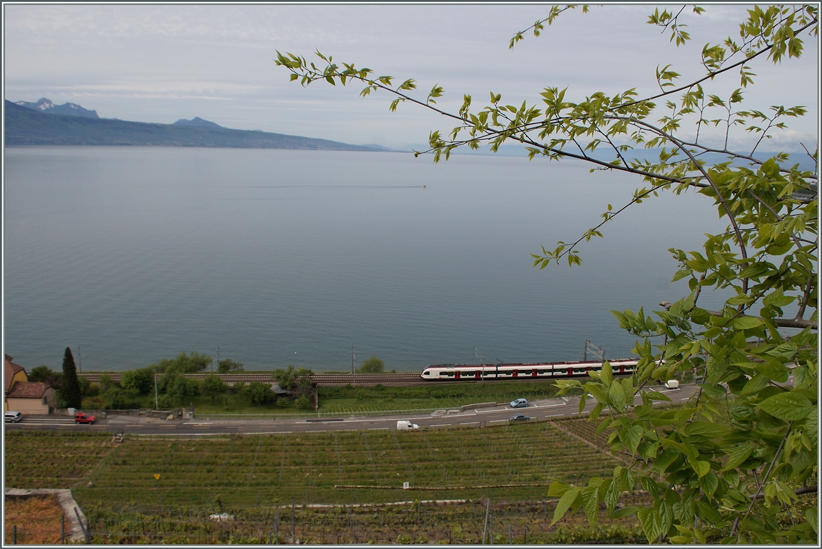 View over the Lavaux and the Lac of Genevay by Cully.
08.05.2014