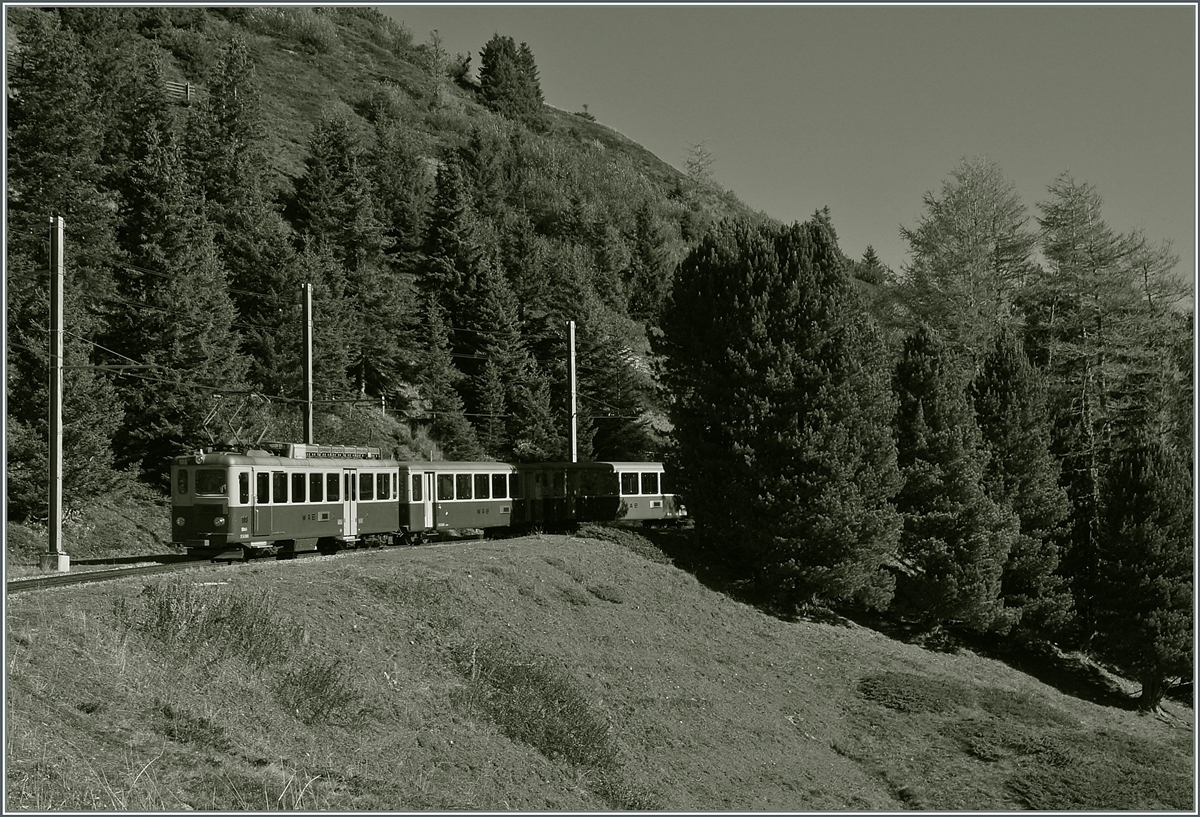 WAB local Train between The Kleine Scheidegg and Wengerneralp
09.10.2014