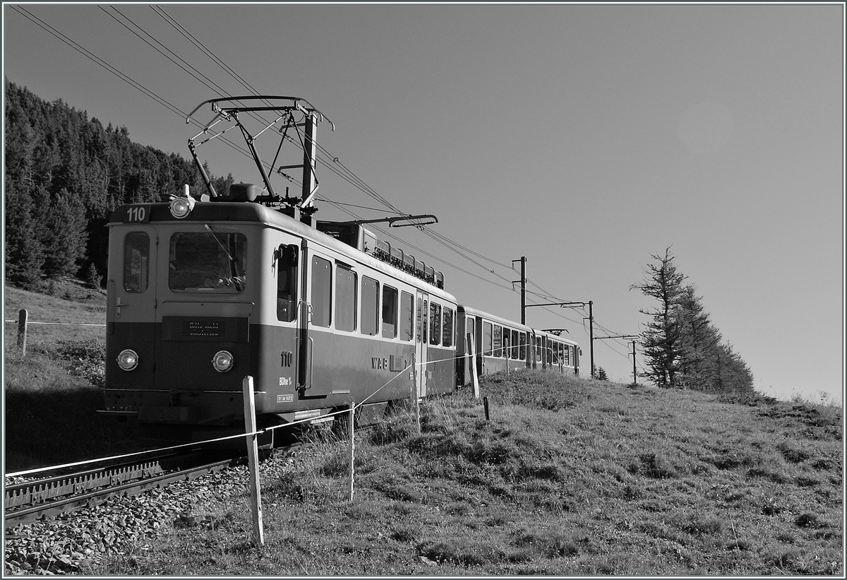 WAB locl train betwenn Wengernalp and Kleine Scheidegg. 
21.08.2013