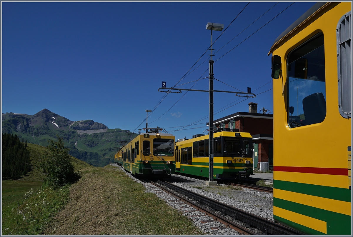 WAB trains on the Wengeralp.
08.08.2016