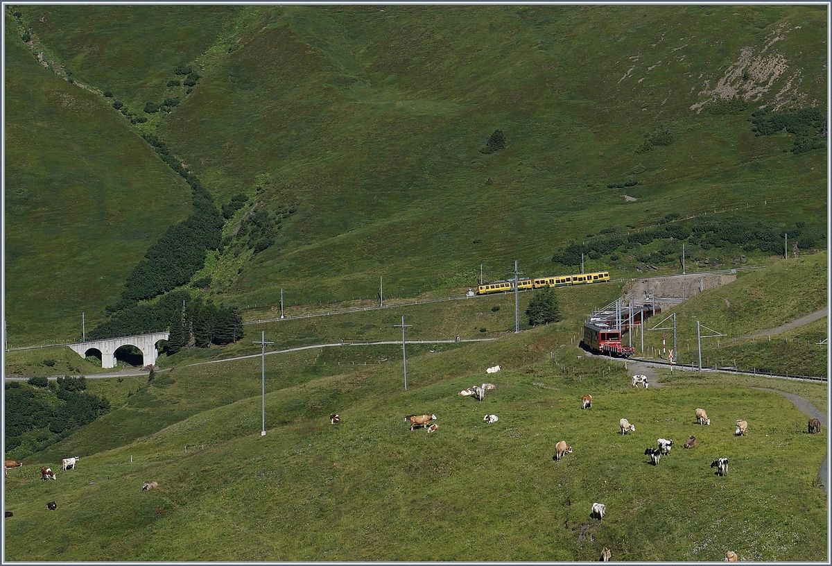 WAB (Wengernalpbahn) and JB (Jungfraubahn) trains over by the Kleine Scheidegg.
08.08.2016