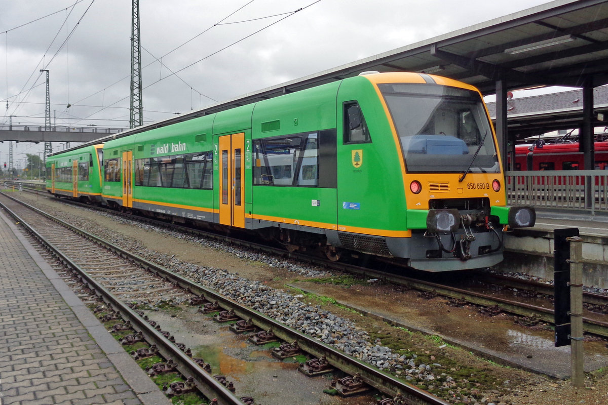 Waldbahn 650 650 stands in PLattling on 14 September 2017.