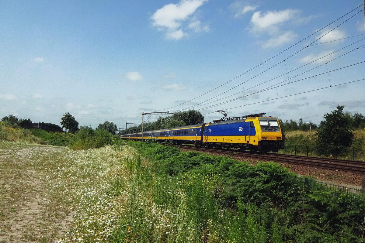  Welcome to the Jungle  -Guns n' Roses.  Oh Jungleland  -Simple Minds. A Forest -The Cure. Just three pieces of rock music that come to mind when picturing 186 018 at Tilburg-Reeshof on 23 July 2021. This area is sited adjacent to the tstation and is given over to natural life. 